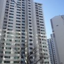 하단동1217 이미지