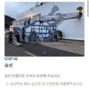 배타고 제주-완도 이동 | 실버클라우드 특등실 이용 후기(차량 선적 소요시간, 부대시설)