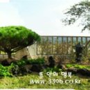 뜰안의행복 이미지