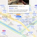 관양로 305번길 309 내 | 2026 안양시 동안구 20평대 아파트 매매가 TOP5 | 평촌센텀퍼스트 vs 평촌더샵