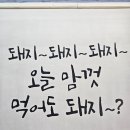 김여사네대패불