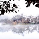 위양지 관광농원 이미지