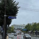 주간일기 8월 5주차