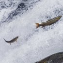 화천정보산업고등학교 이미지