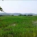 사랑샘공원 이미지