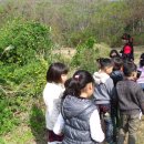 진도유치원 이미지