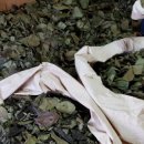 지성한의원 이미지