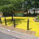 옐로카펫 이미지