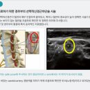 진마디의원 이미지