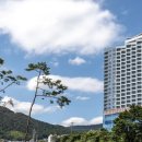 더 포라 수영장 이미지