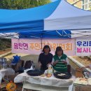 몽탄초등학교 이미지