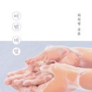 페리서가 이미지