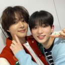 그레이빌 이미지