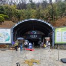 광명 꽃 수족관 | 서울근교 실내 여행 광명동굴 아이들과 다녀온 후기