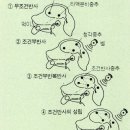 김승배 이미지