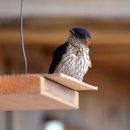 교동시장 이미지