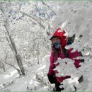 안성리-12 Daum카페