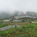 강릉의료원(버스정류장) 이미지