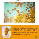 일월호