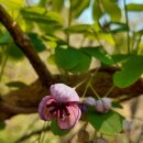 목수와 시인 이미지