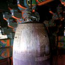 수원-1911 이미지