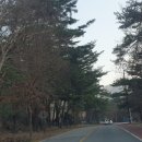 여우미가 이미지