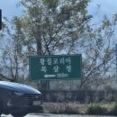 대박황칠코리아 | 🔥인생갈비탕 황칠코리아갈비탕 후기 (체인점 문의)