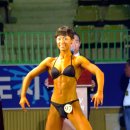미즈미스터 이미지