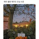 선영전기 이미지