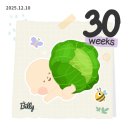 (주)에스엠서비스 | 12월 주간일기 1208-1214 30주차 진입 ! 에스엠천사 산후도우미예약 완료 결혼식 시댁행사로 바쁜 주말