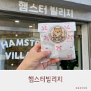 몽빌리지 | 인천 햄스터 분양 인천 피그미다람쥐 분양 햄스터빌리지 매장 방문후기