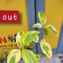 옐로우젬