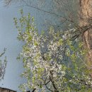 대청호오백리길 호반낭만길 | 대청호 오백리길 4구간(호반낭만길)