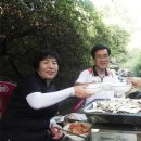 희준농장 Daum카페