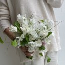 피오앤스튜디오 이미지