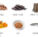 조인트케어 이미지