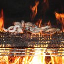 꼼장어네 이미지