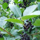 열방농장 이미지