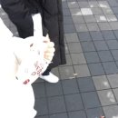 구리고등학교매점