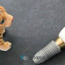 전주예치과의원 이미지