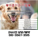 장례식장 추천, 비교, 이용후기(2025년) I 장례비용 소동물 15만원, 기본장례 20만원 I 구미반려동물화장장
