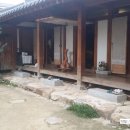 전주 한옥마을 애견동반 1박2일 후기 &amp; 벼리채 한옥스테이
