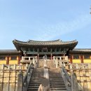 겨울의 경주 여행 일지(2025년 1월 22일~23일)