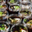 삼포수산식당 이미지