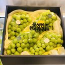 진주과일 이미지