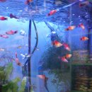 (사)뚝도시장 이미지