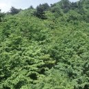 그레이호텔 분당점 이미지