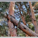 연리지민박 이미지