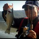 백야낚시터 이미지