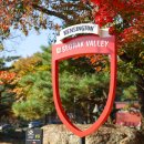 동해사슴목장 이미지